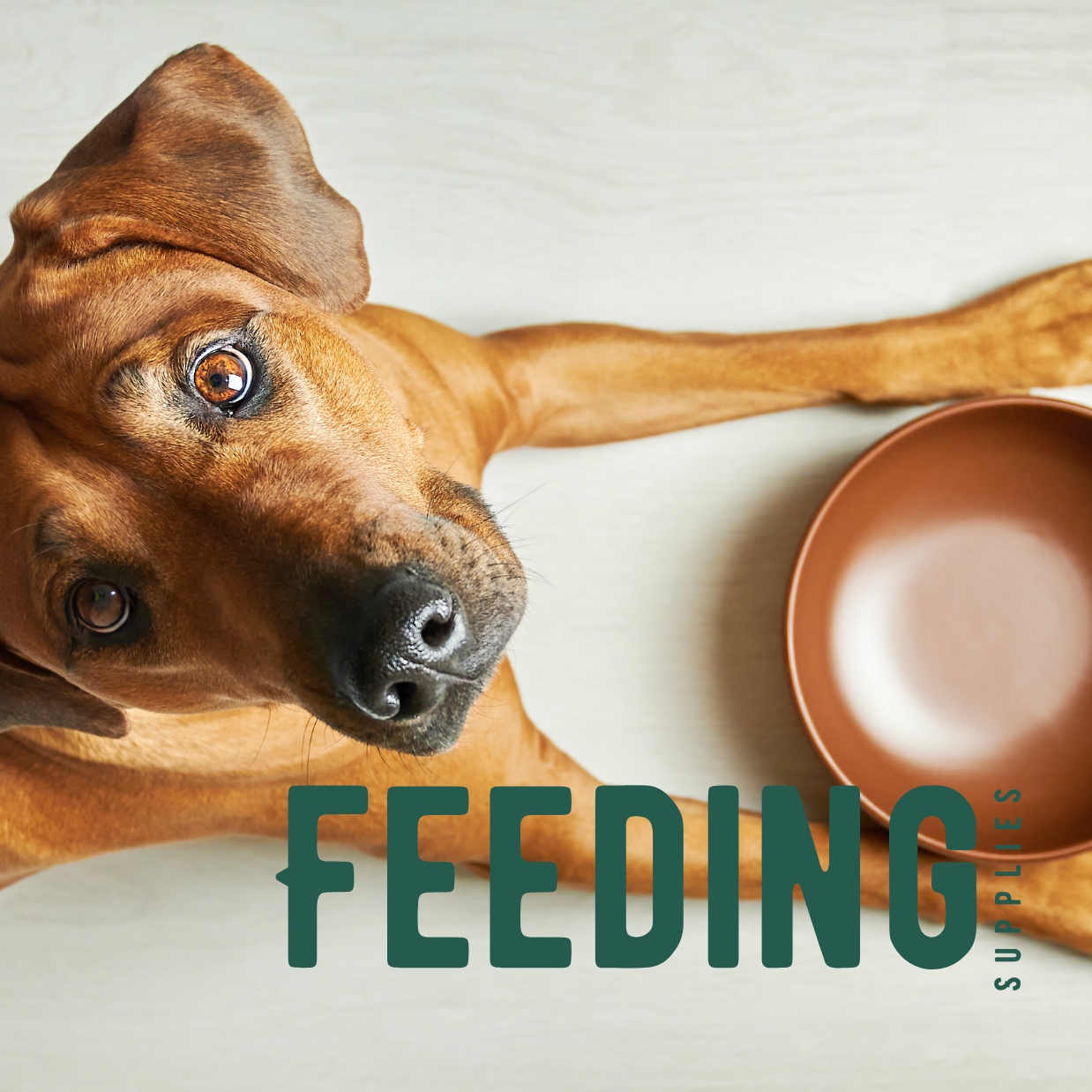 Feeding Supplies