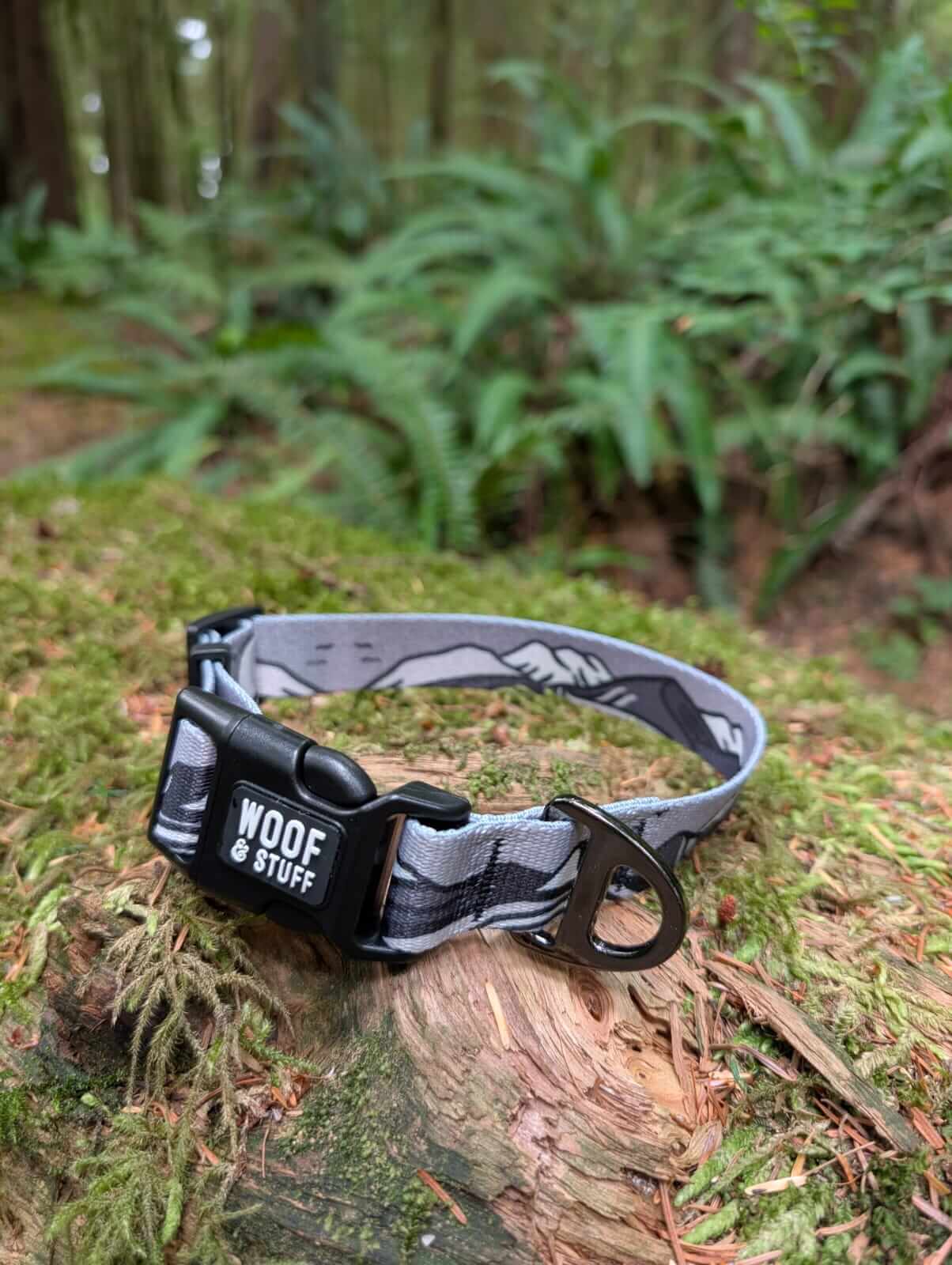 Moonlight Collar