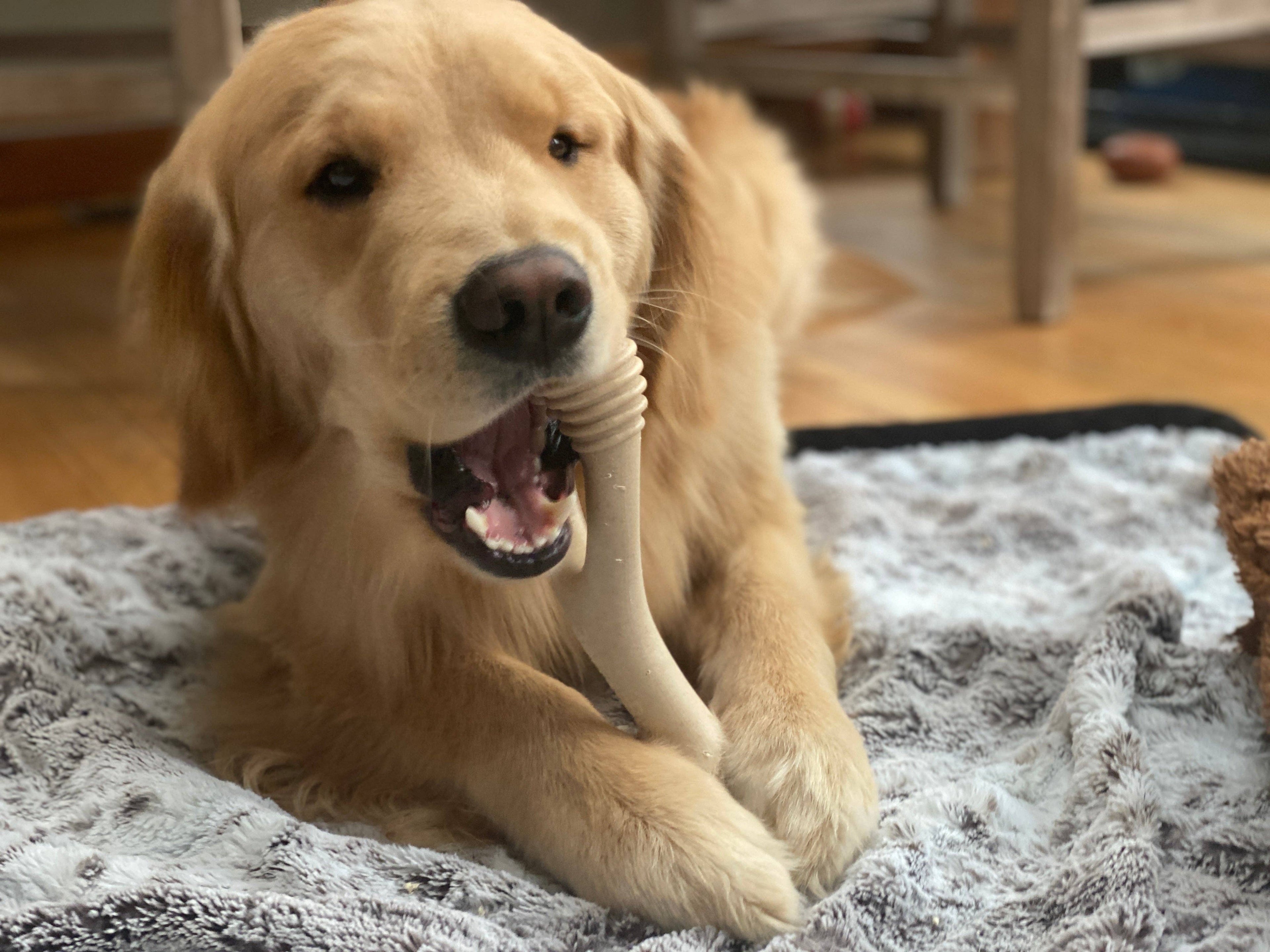 🦴💛 BetterBone SOFT – Gentle Chewing, Naturally Safer