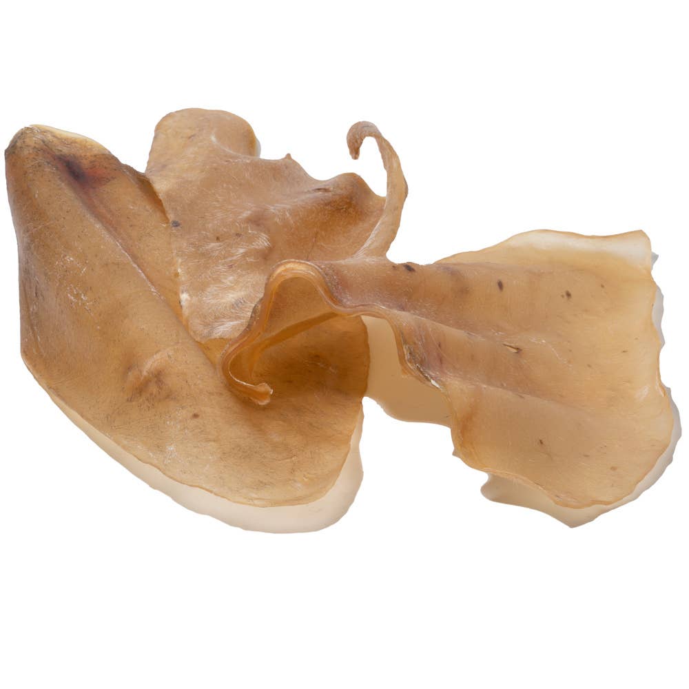 🐮 All-Natural Cow Ear Dog Treats (Avg. 8") 🐾