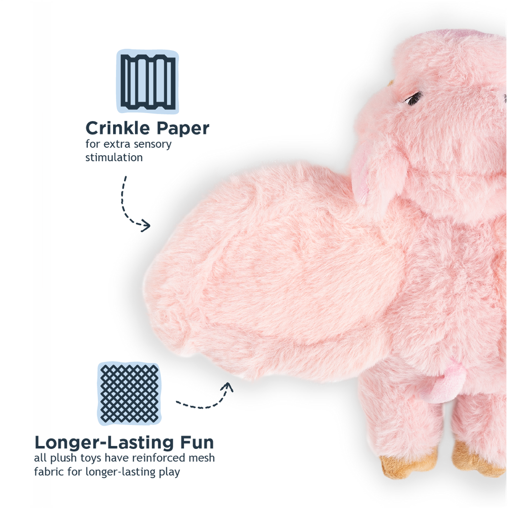 Fling and Fetch Toy for Dogs