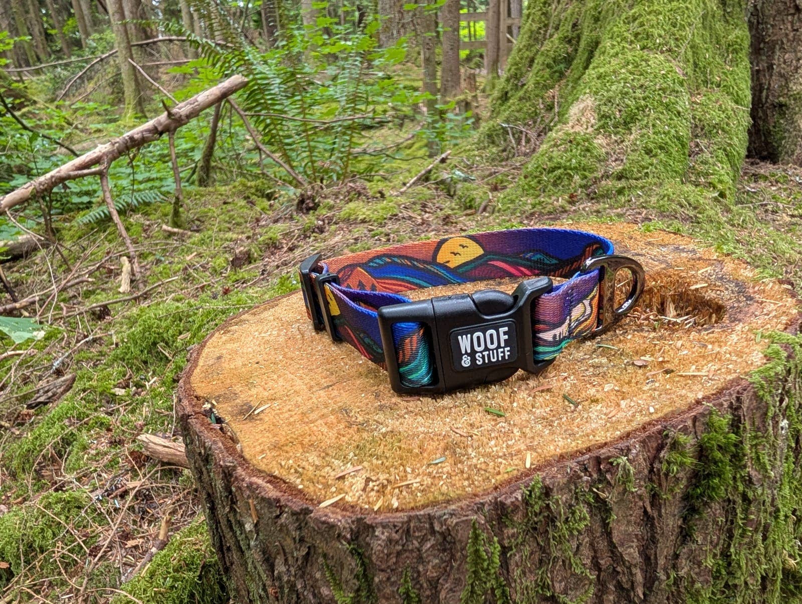 ⛰️ Handcrafted Midnight Sun Dog Collar 🐾