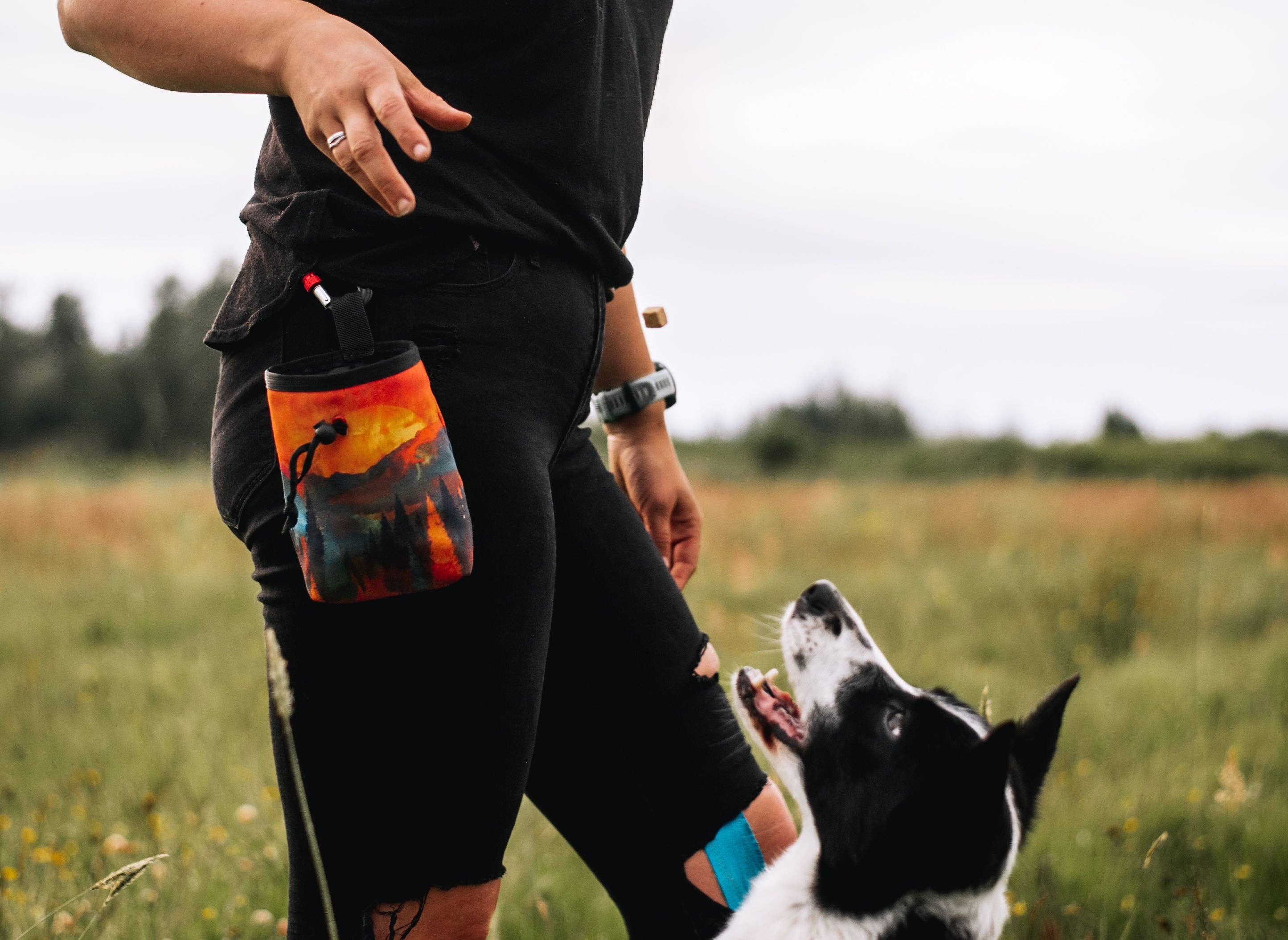 🎒 Handcrafted Adventure Treat Pouch 🐾