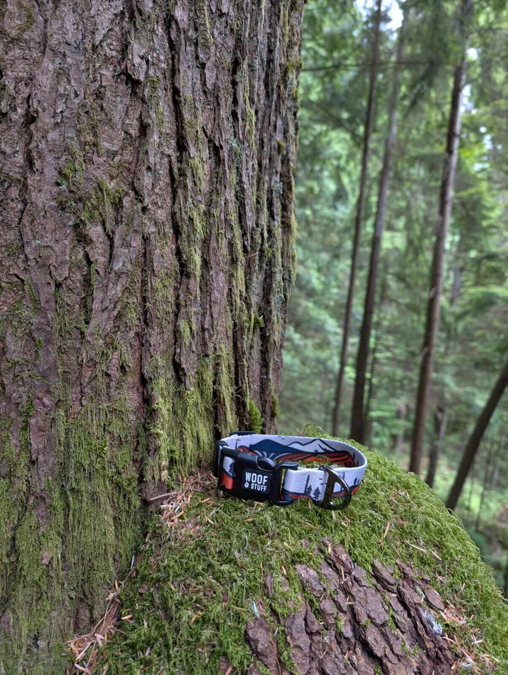 ⛰️ Handcrafted Wanderlust Dog Collar 🐾