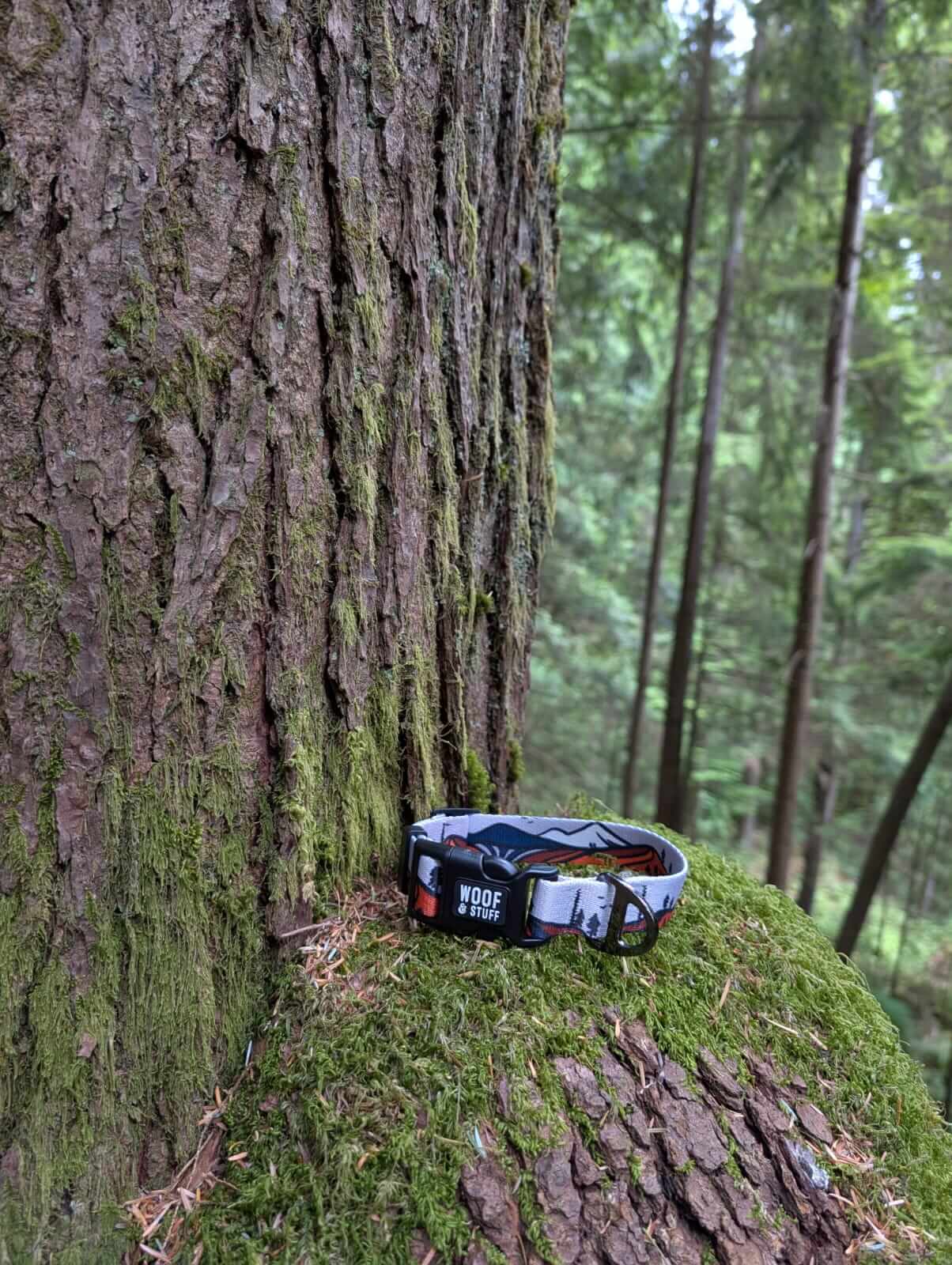 ⛰️ Handcrafted Wanderlust Dog Collar 🐾