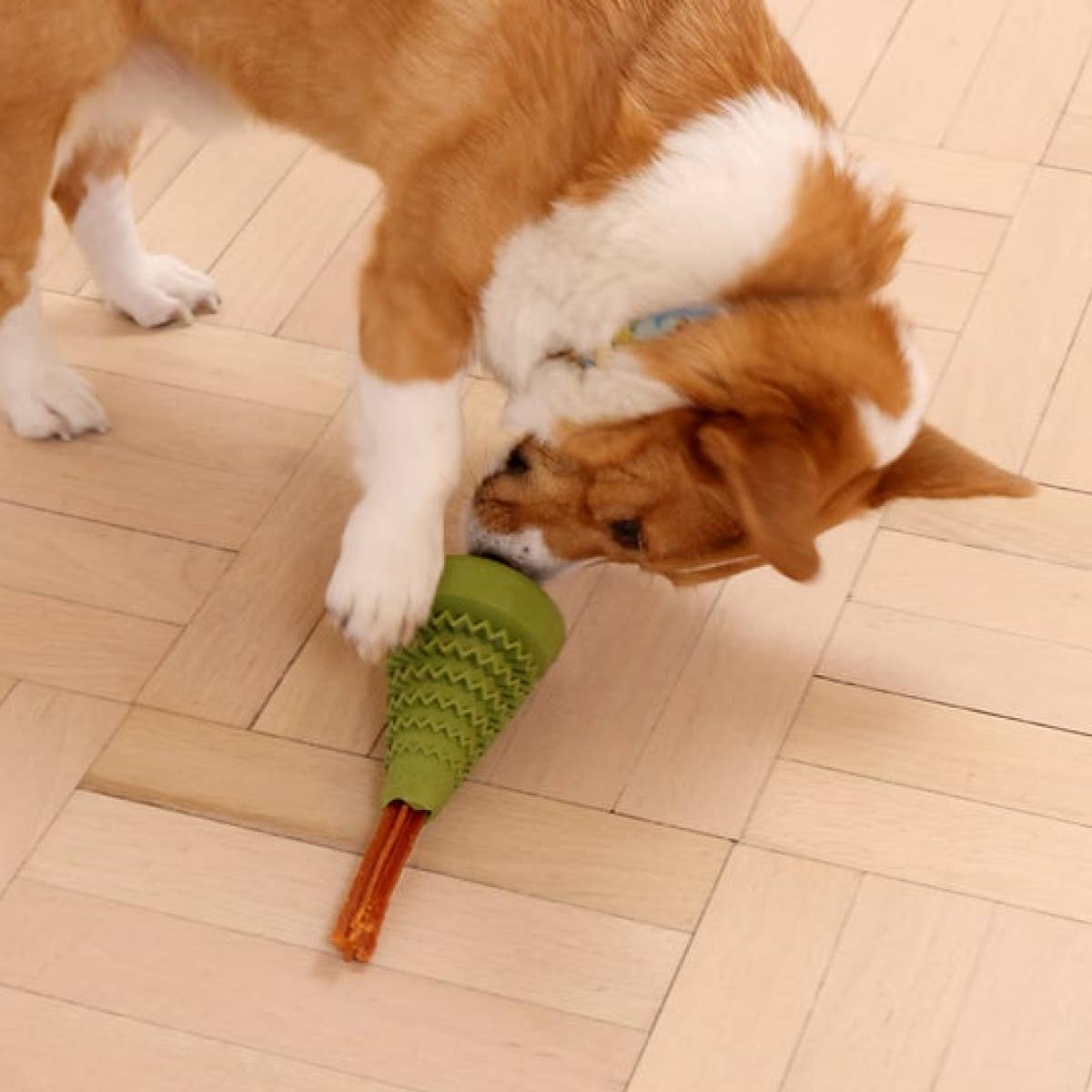 🌲Natural Rubber Evergreen Tree Reward Dog Toy🌲