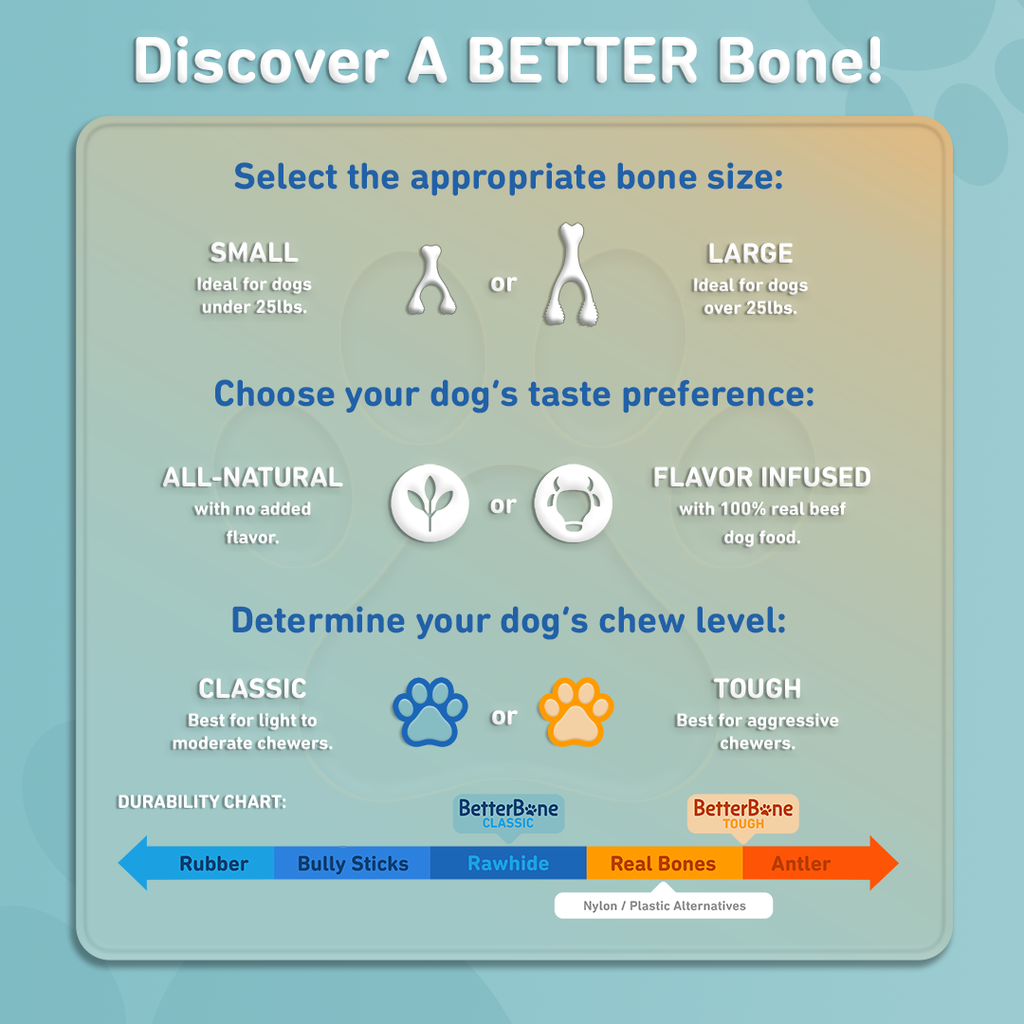 🦴💛 BetterBone SOFT – Gentle Chewing, Naturally Safer