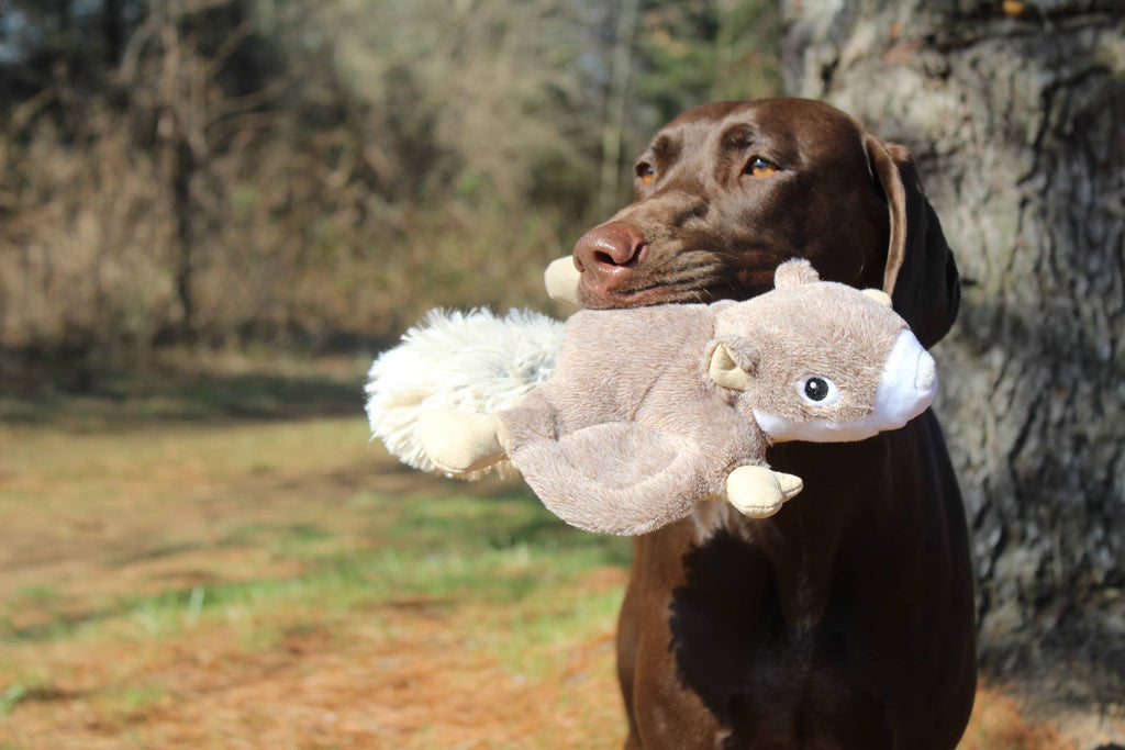 Fling and Fetch Toy for Dogs