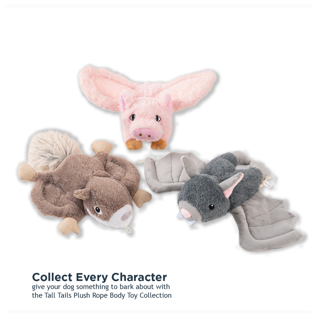 Fling and Fetch Toy for Dogs