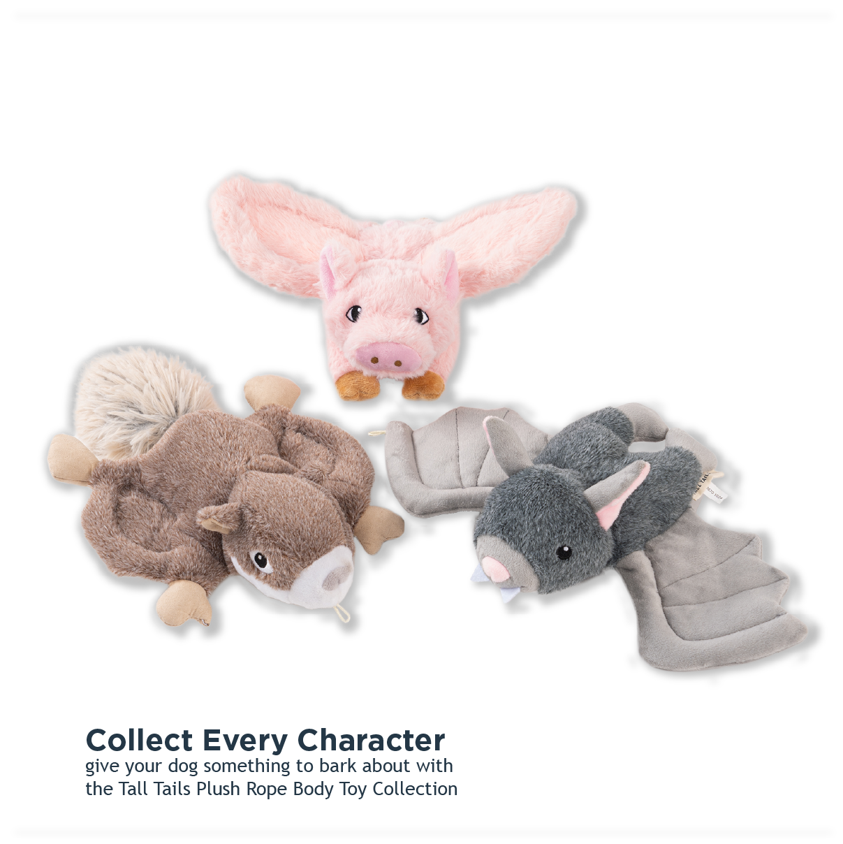 Fling and Fetch Toy for Dogs
