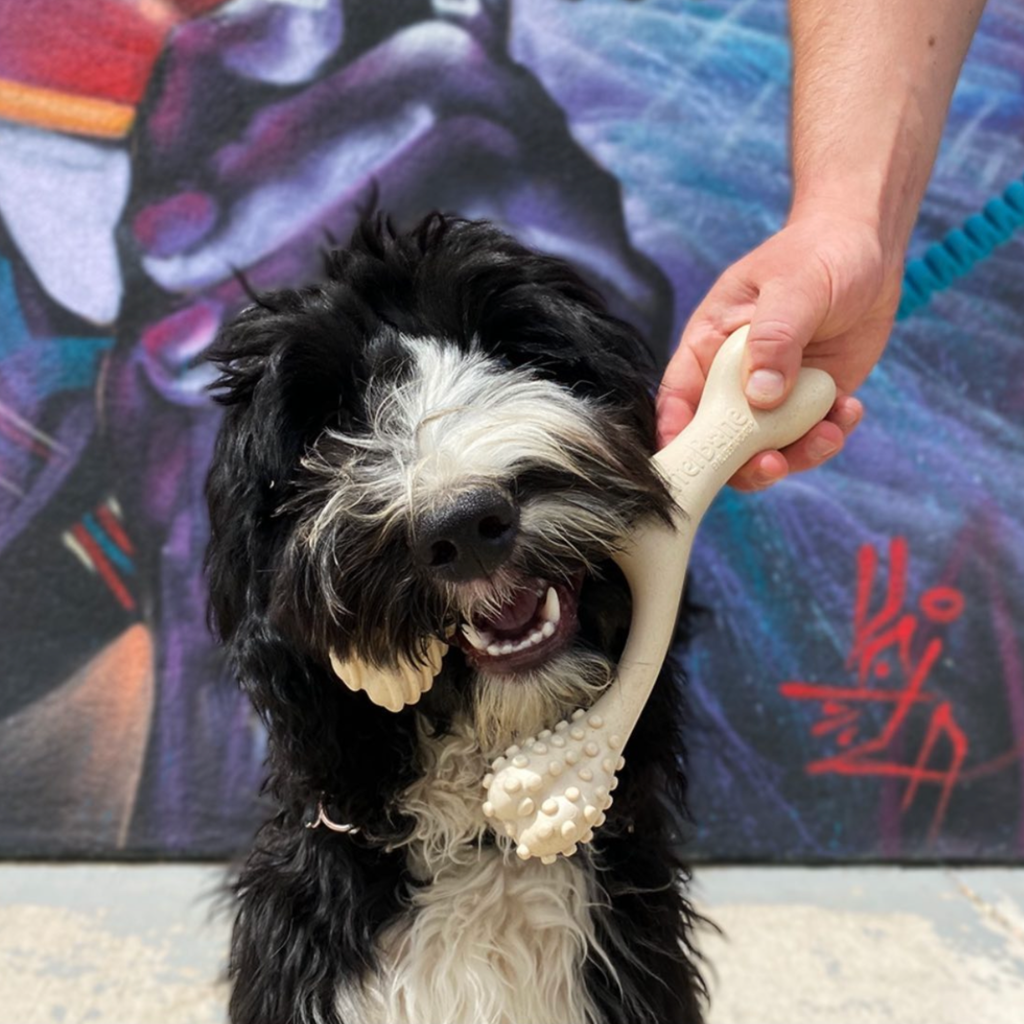 🦴💛 BetterBone SOFT – Gentle Chewing, Naturally Safer