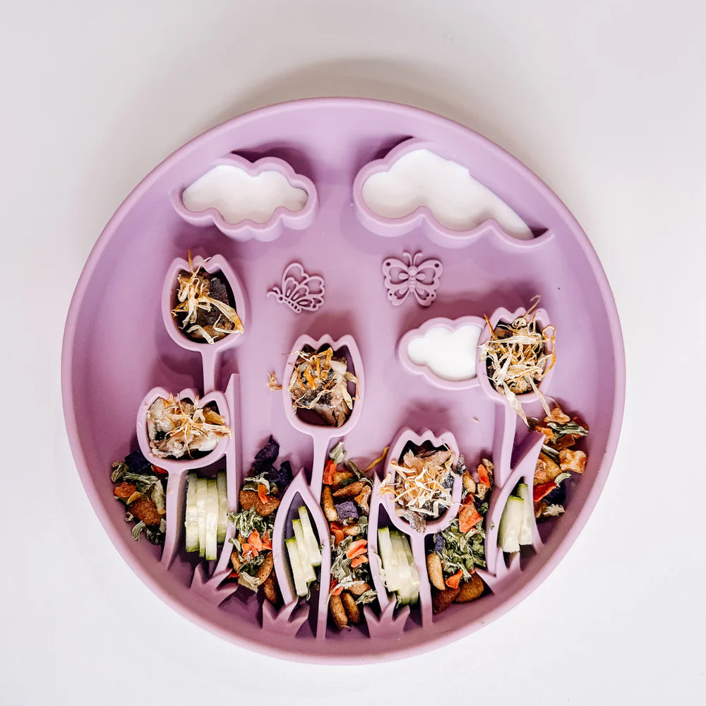 Bloom Bowl 🌷🦋 Slow Feeder