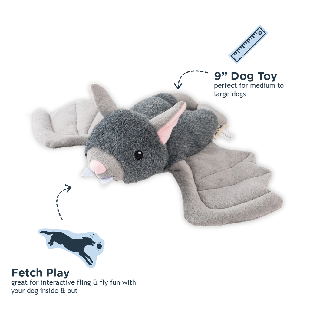Fling and Fetch Toy for Dogs