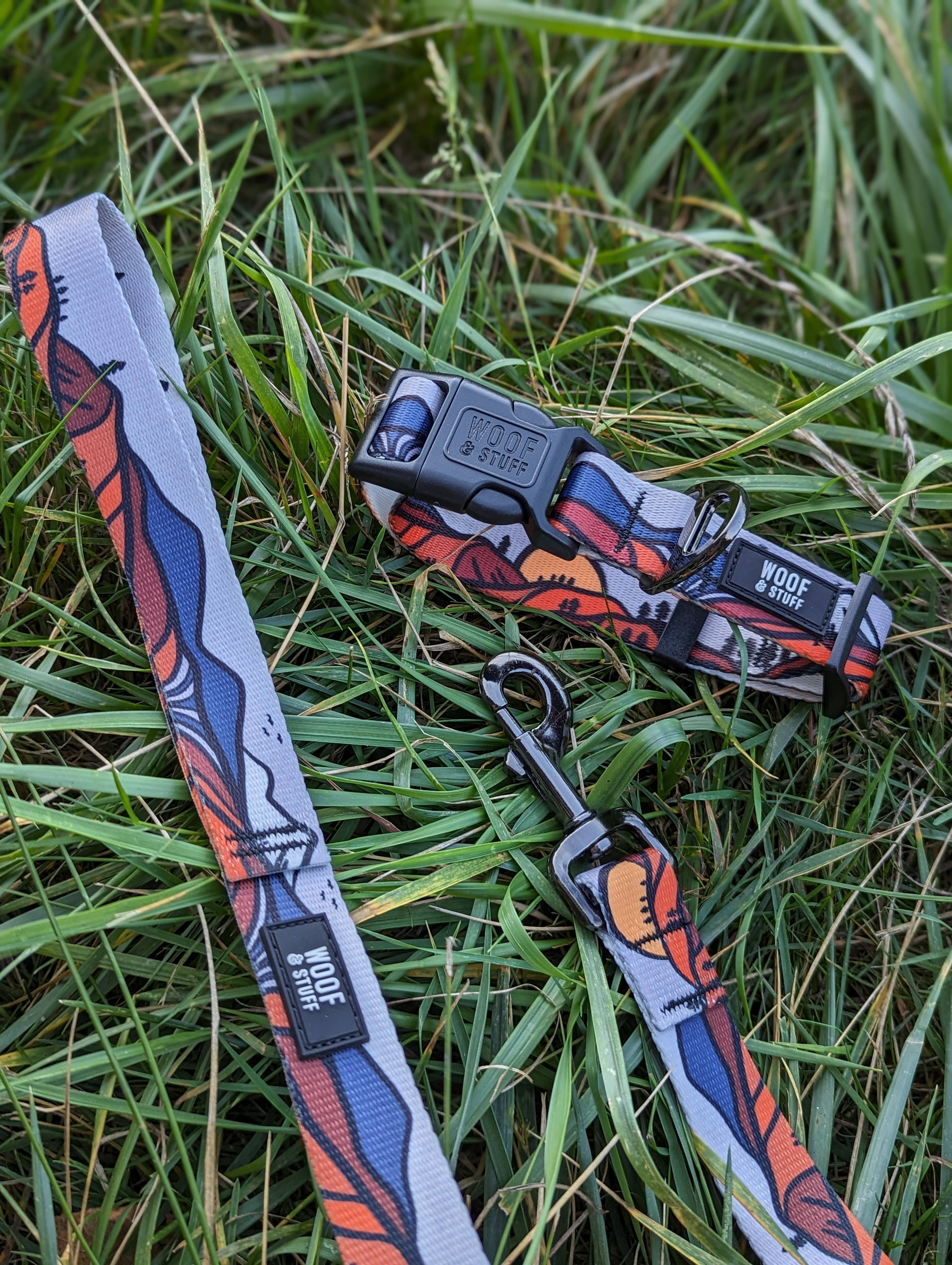 🏔️ Handcrafted Wanderlust Dog Leash 🐾