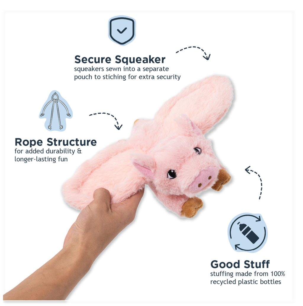 Fling and Fetch Toy for Dogs