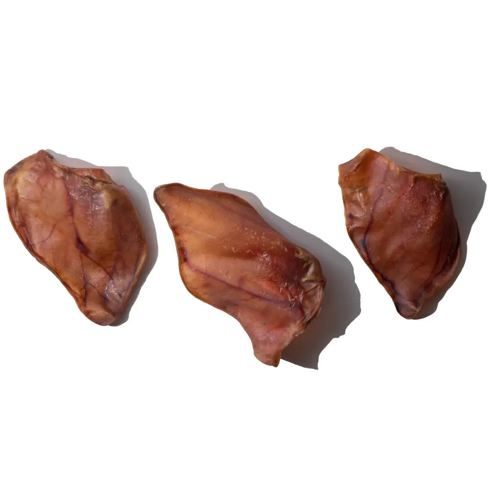 🐷 All-Natural Pig Ear Dog Treats (Avg. 5") 🐾