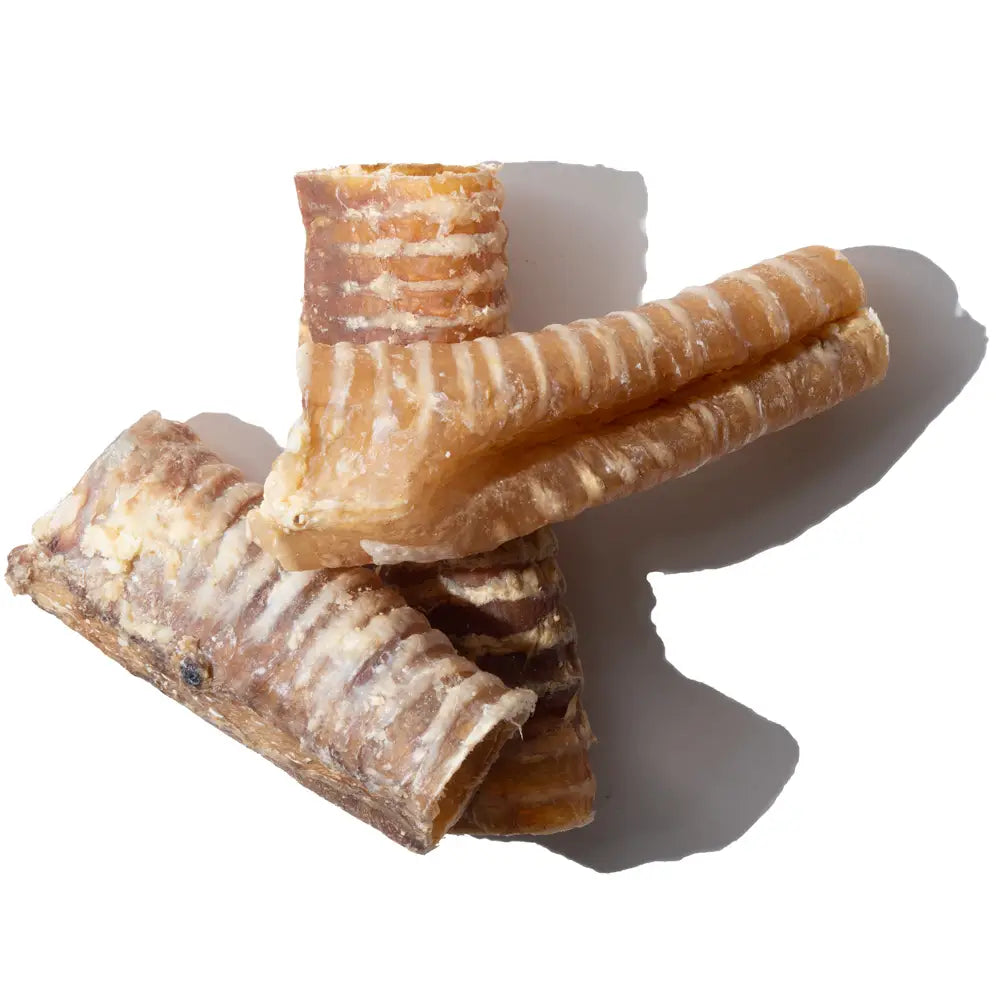 🐄 Beef Trachea Chews 🐾