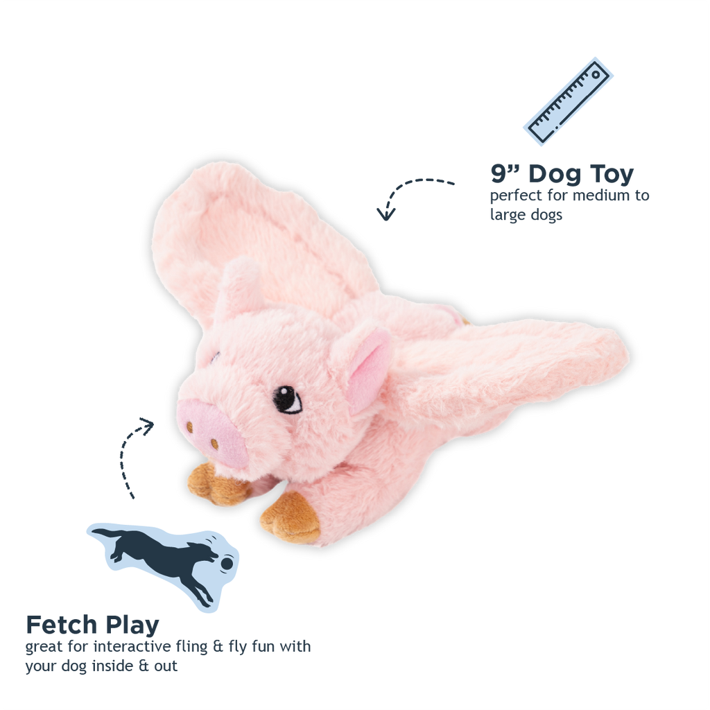 Fling and Fetch Toy for Dogs