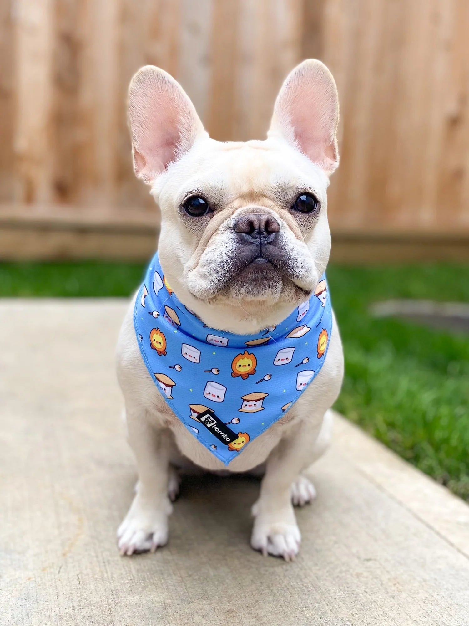 ❄️🐶 Cooling Dog Bandanas